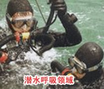成功香蕉视频APP黄版下载